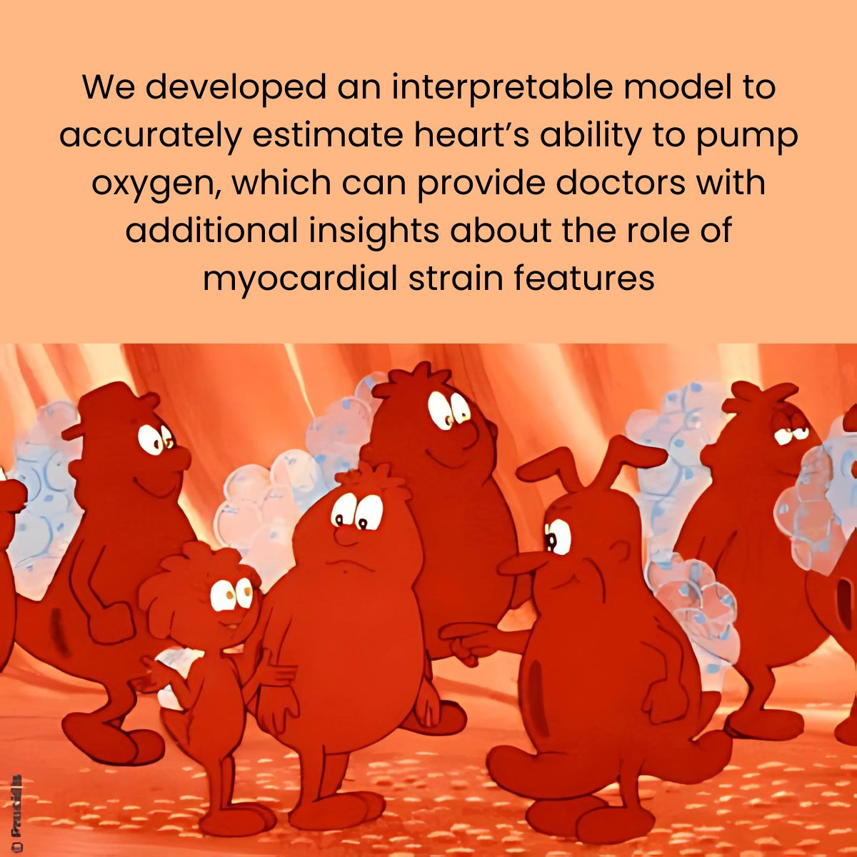 Assessing Cardiac Functionality by Means of Interpretable AI and Myocardial Strain